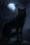 Black Wolf